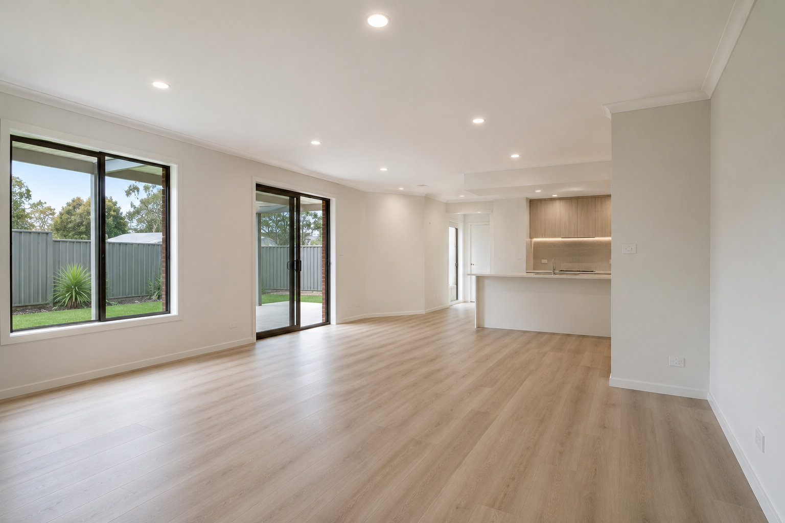 Kitchen & Living Renovation